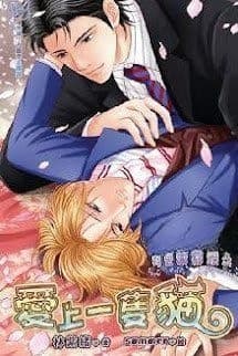 Yêu Phải Một Con Mèo